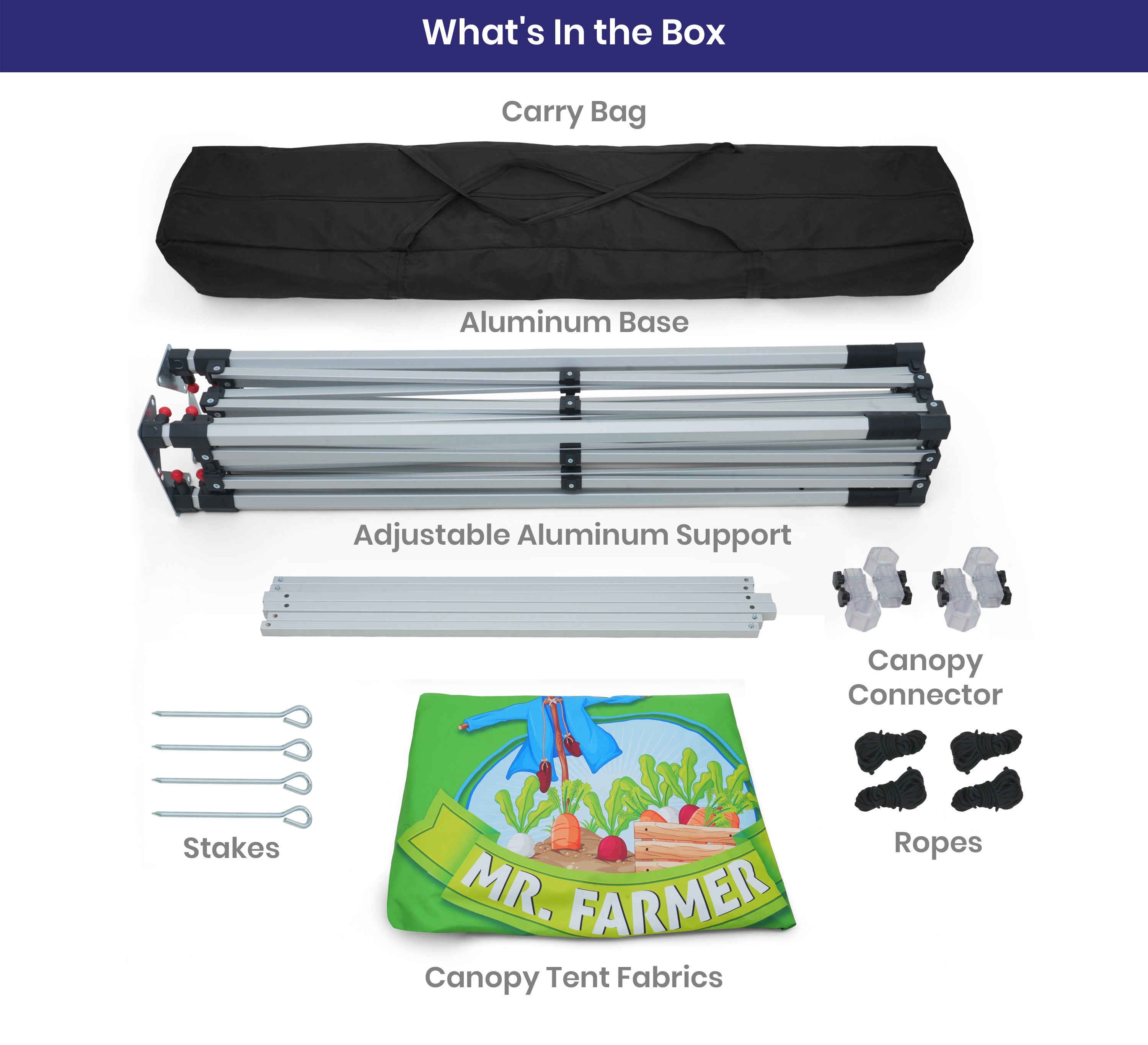 Custom Canopy Tents 10 x 10