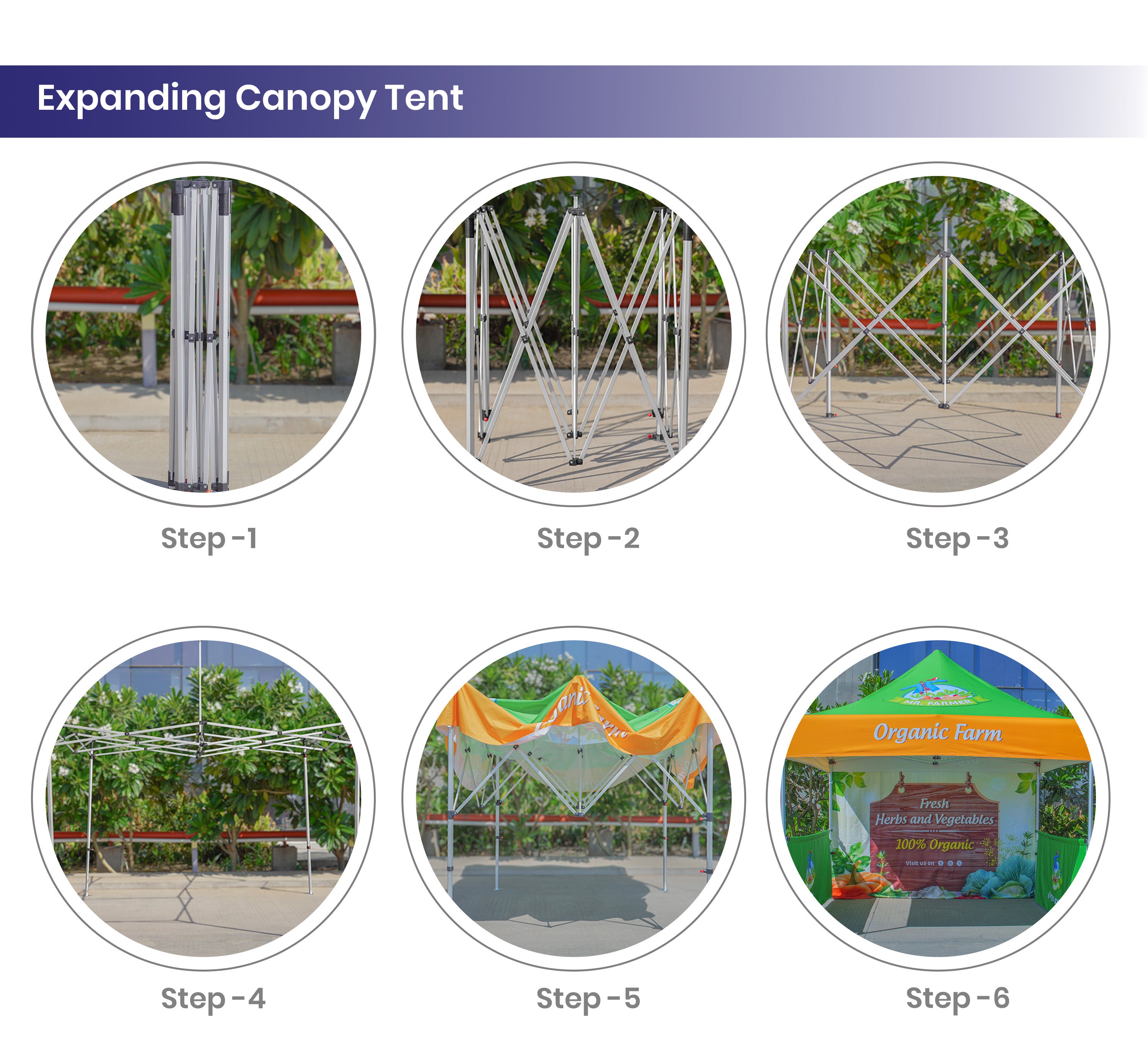 Custom Canopy Tents 10 x 10