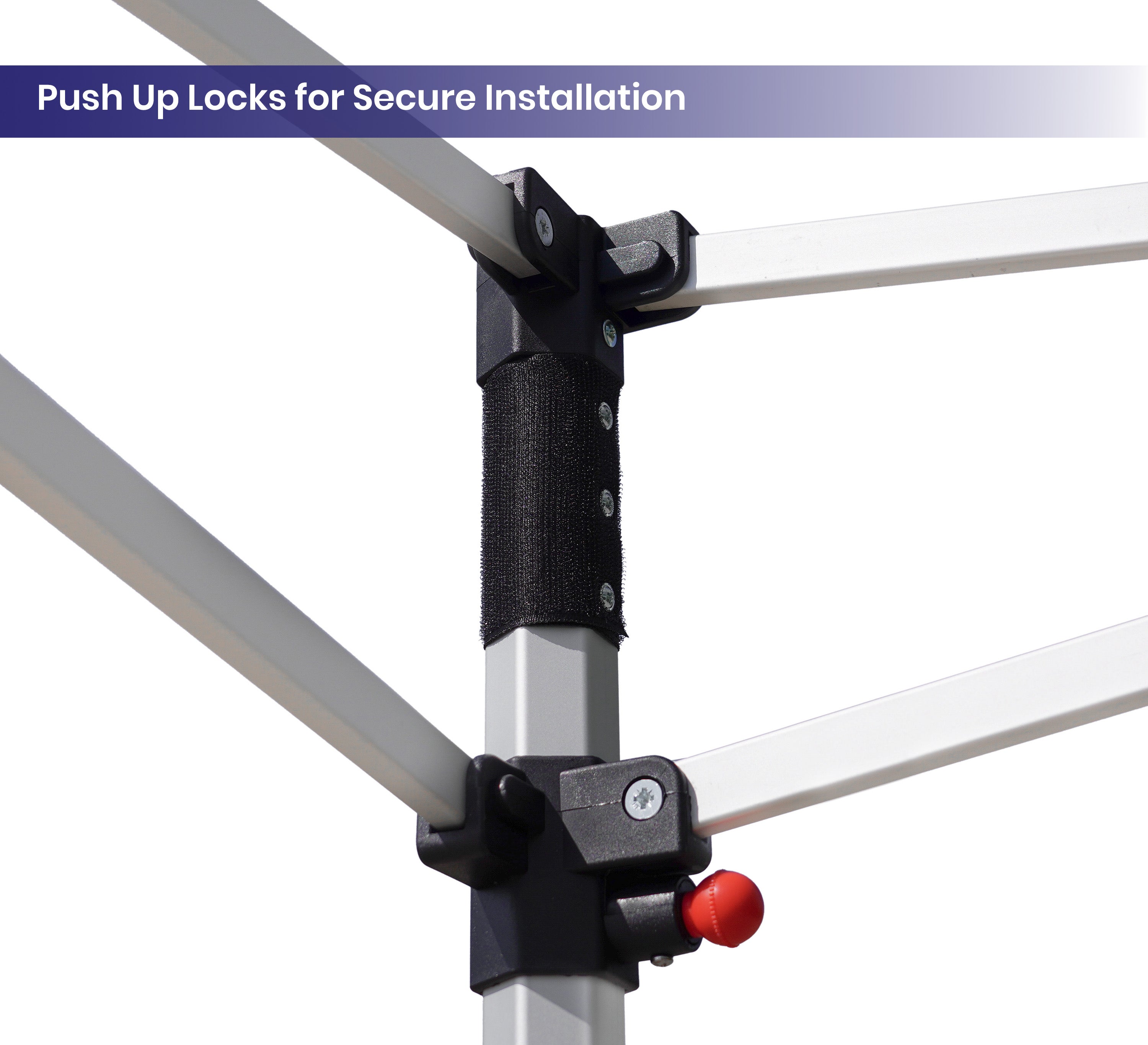 Custom Canopy Tents 10 x 10