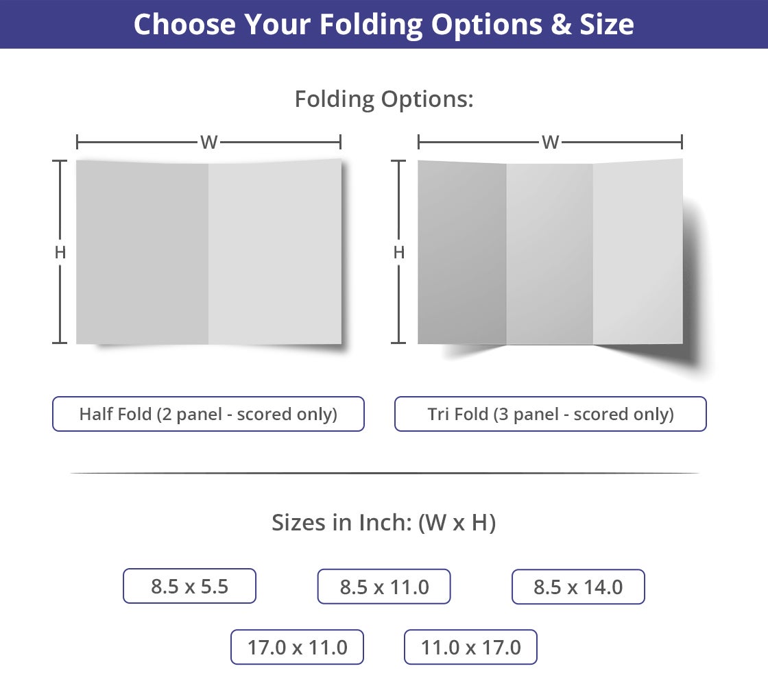 Folded Business Flyers