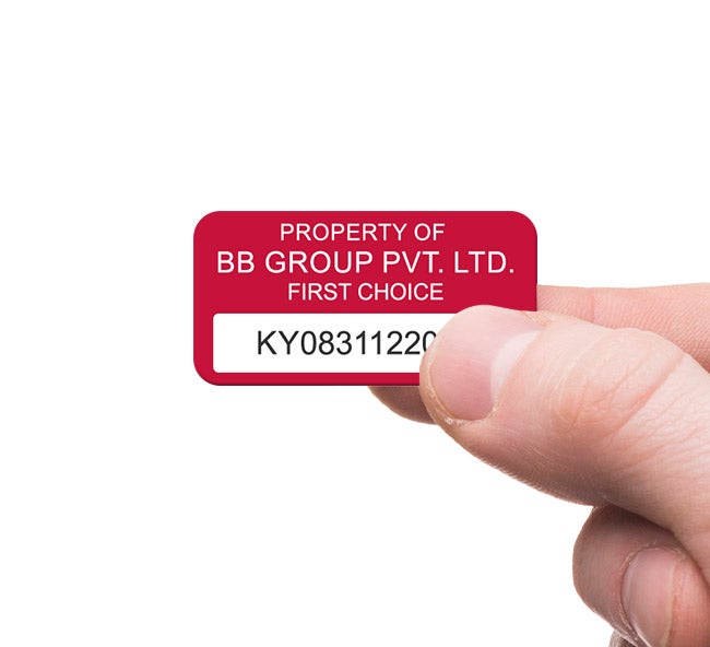 Plastic Asset Labels - Economy