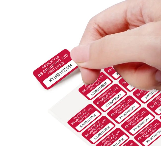 Plastic Asset Labels - Economy