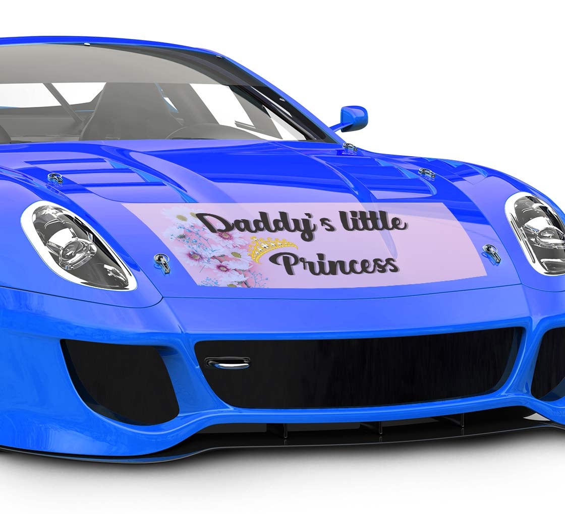 Car Decals / Stickers (Clear)