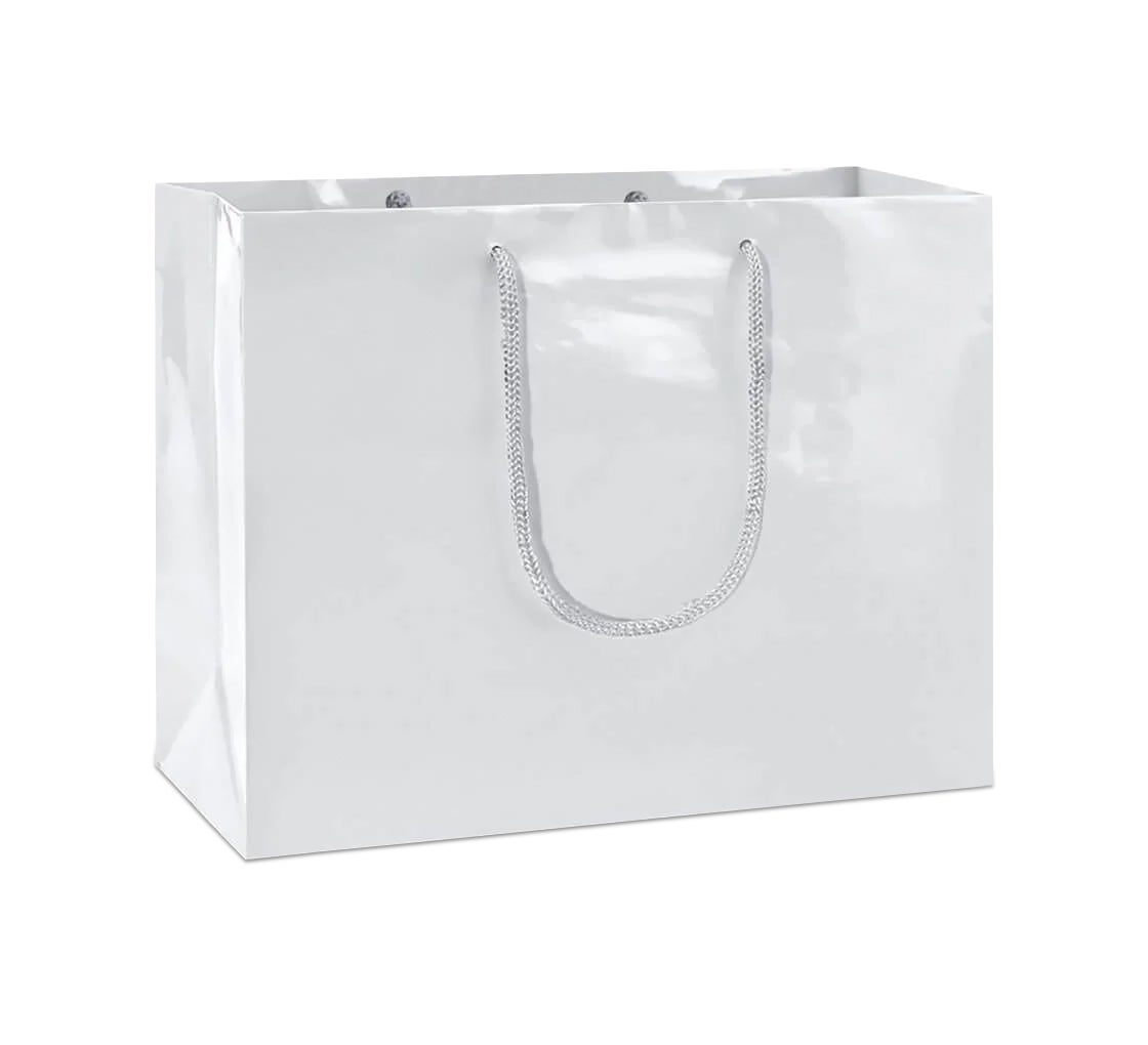 Solid Color Boutique Bags 