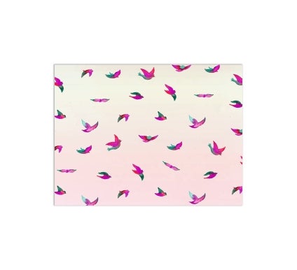 Window Decals For Birds