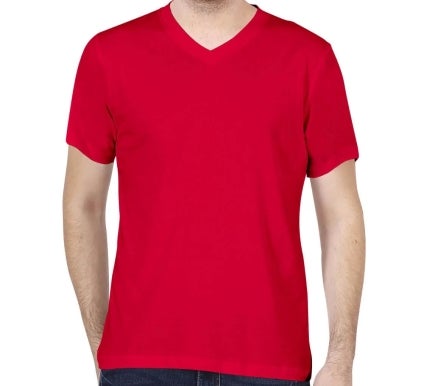 Men's V-Neck T-Shirt