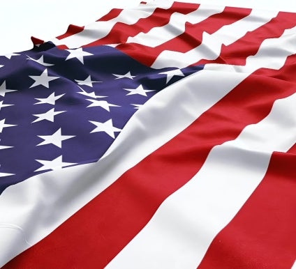 Crowd Flags