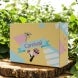 Tuck Top Mailer Box