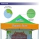 Custom Canopy Tents 10 x 10
