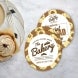 Circle Business Flyers
