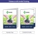 Folded Business Flyers