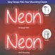 Cheers To Love Neon Sign