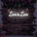 Love Is Love Neon Sign