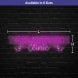 The Rejuvenation Clinic Neon Sign