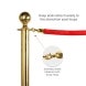 Velvet Stanchion Rope