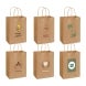 Printed Kraft Paper Shopping Bags 