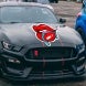 Die-Cut Car Decals / Stickers (Opaque)