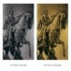 Metal Prints