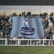 Crowd Flags