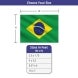 Brazil Flag