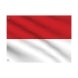 Indonesia Flag
