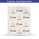 8 ft x 10 ft Step and Repeat Wall Box Fabric Display