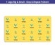 20 ft x 10 ft Step and Repeat Wall Box Fabric Display