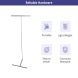 LT Banner Stands